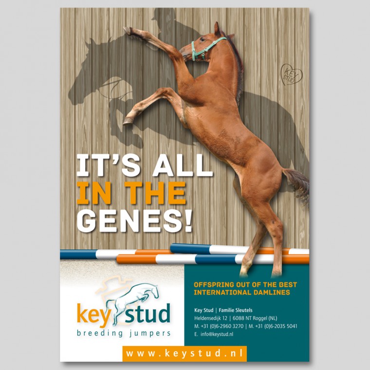 Folders, brochures & advertenties - Grafische Vormgeving & Ontwerp - Puth - Zuid-Limburg