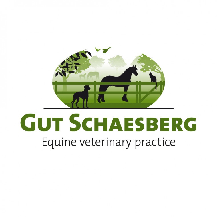 Logo & huisstijl - Grafische Vormgeving & Ontwerp - Puth - Zuid-Limburg